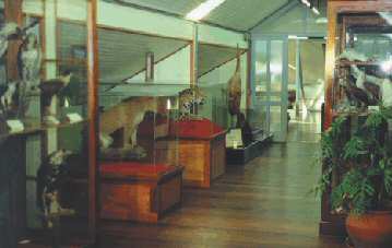 Museu do Homem do Sambaqui