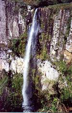Urubici