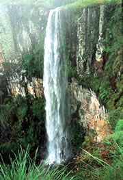 Urubici